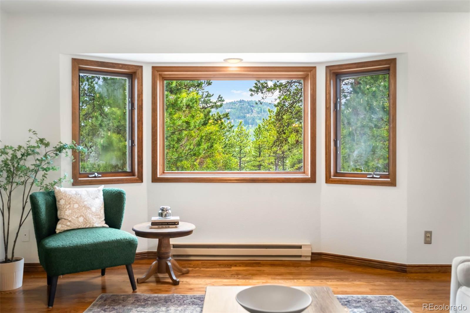 MLS Image #5 for 9633  fox valley drive,morrison, Colorado