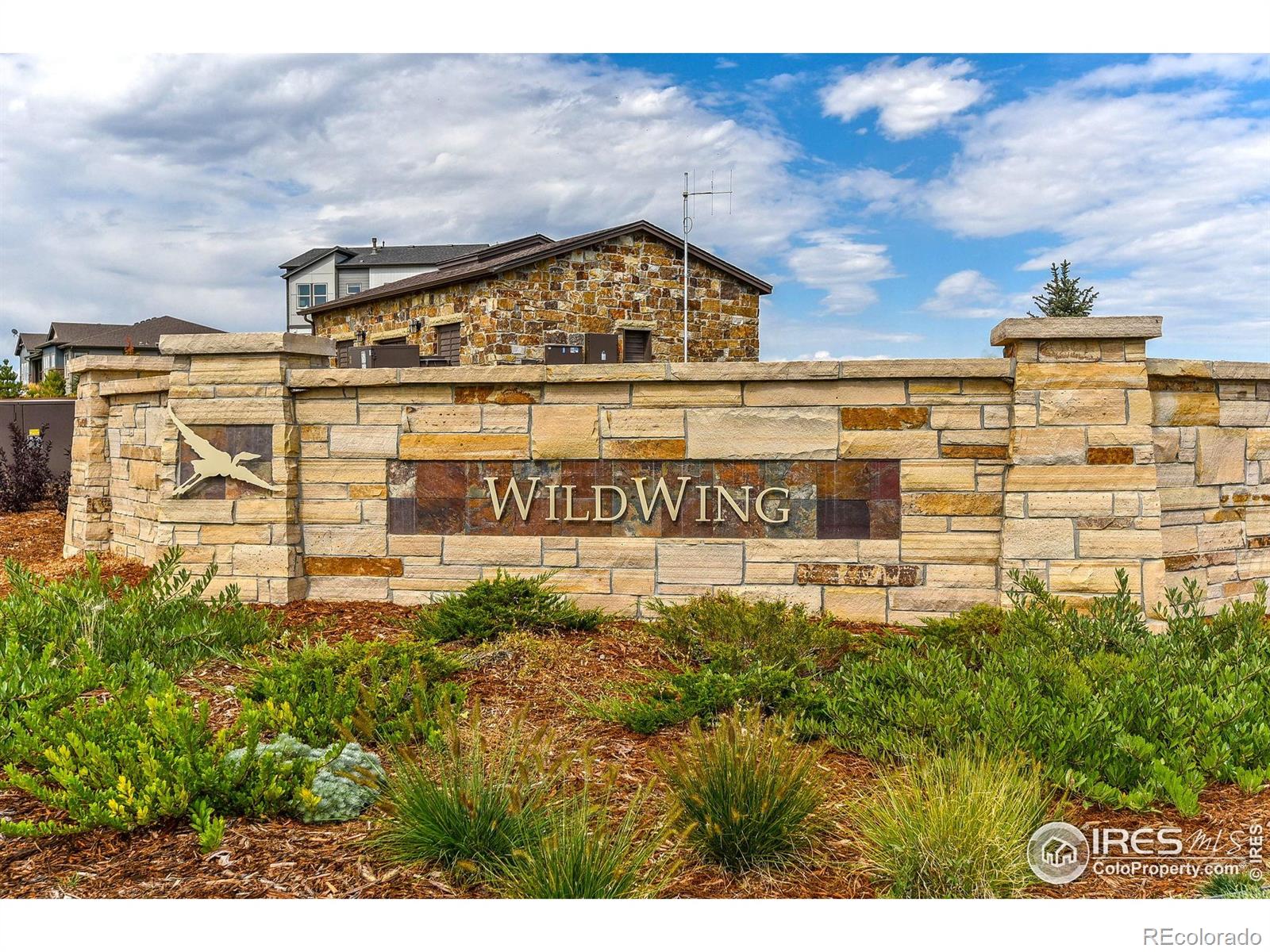 MLS Image #39 for 7015  toponas court,timnath, Colorado