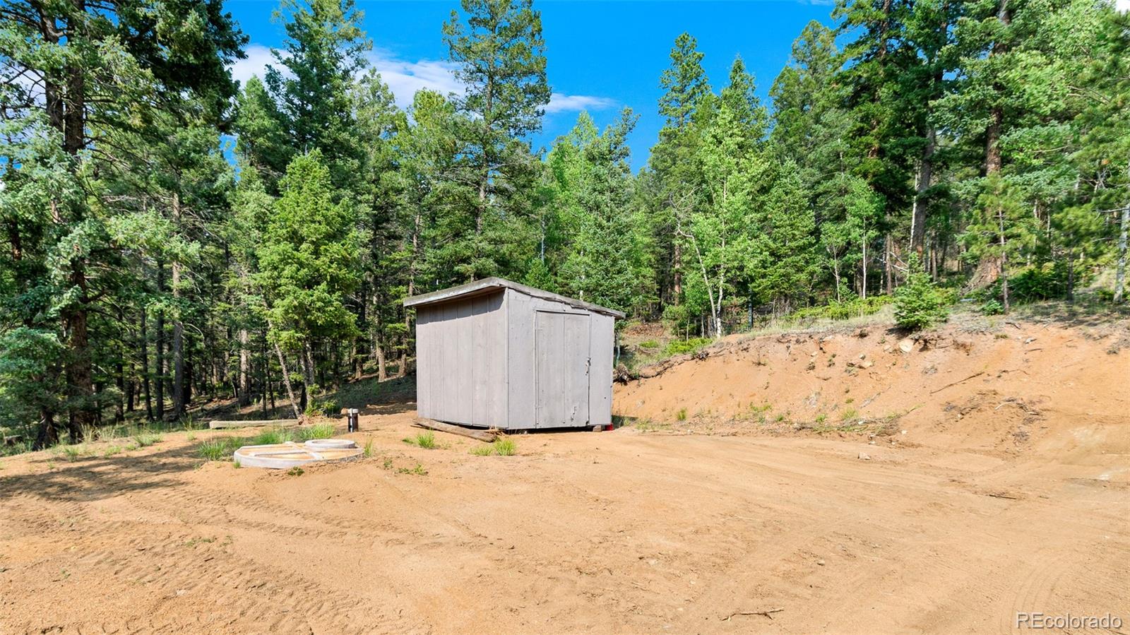 MLS Image #10 for 900  beaver creek drive,florissant, Colorado