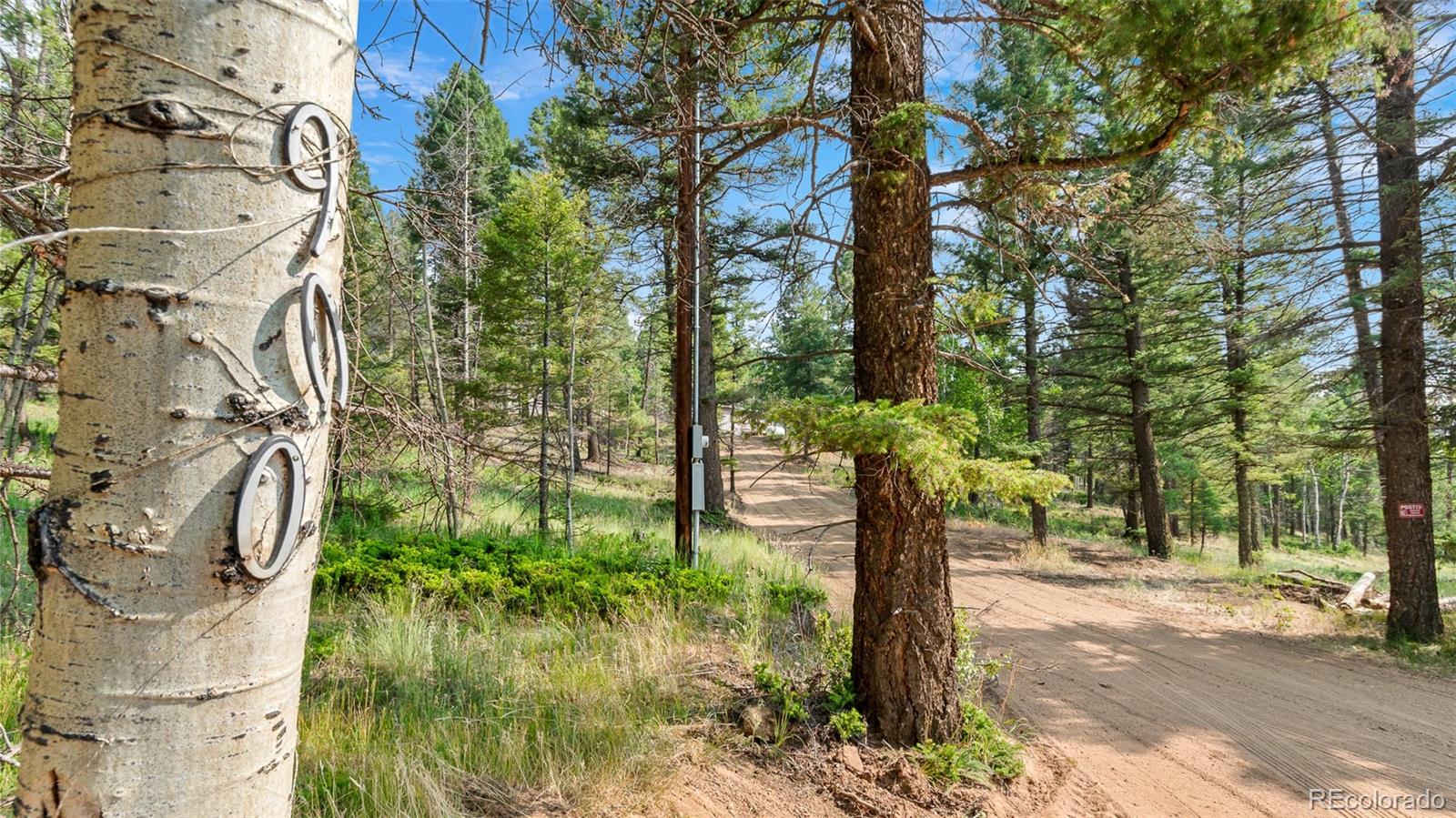 MLS Image #2 for 900  beaver creek drive,florissant, Colorado