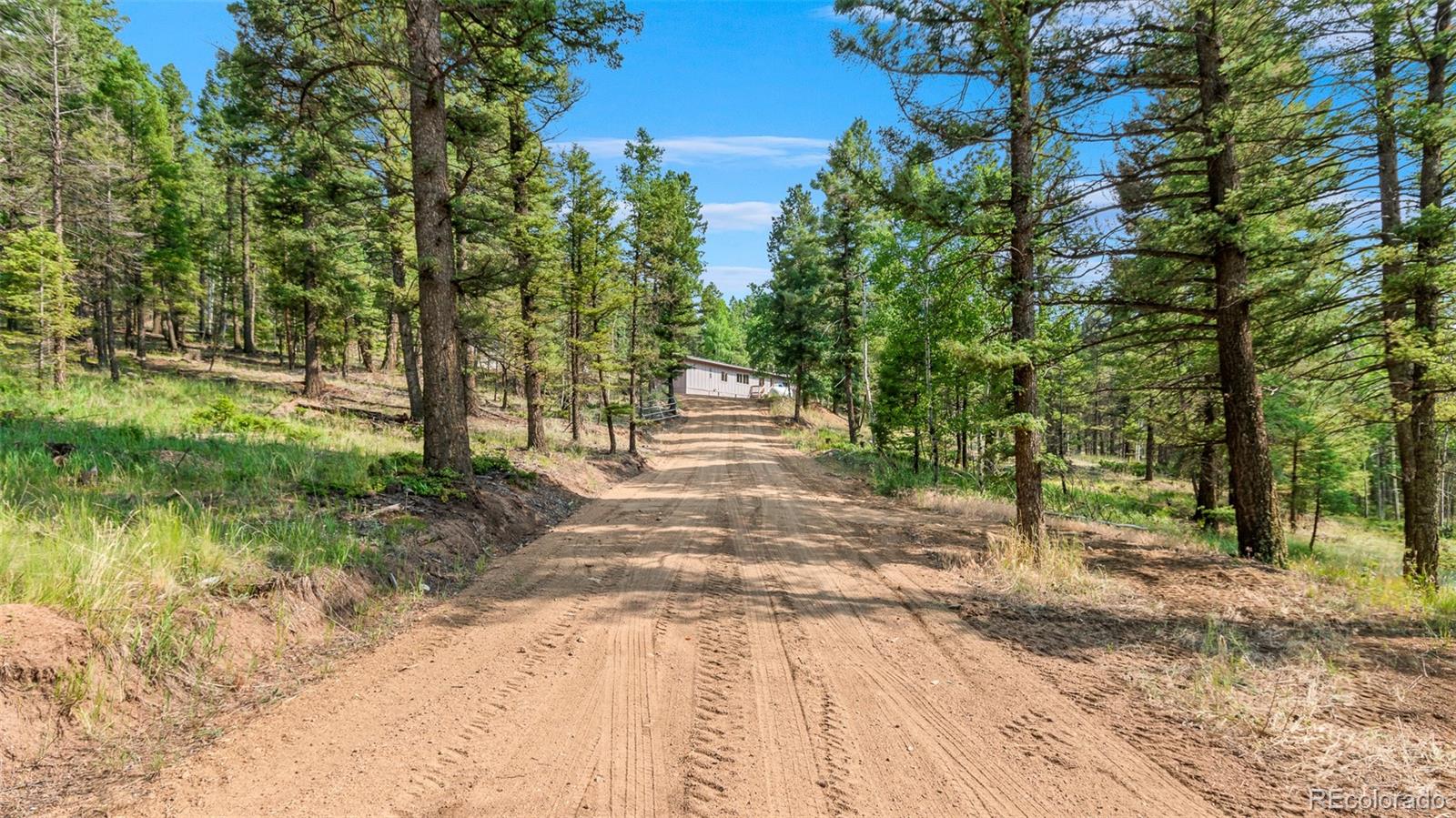 MLS Image #3 for 900  beaver creek drive,florissant, Colorado