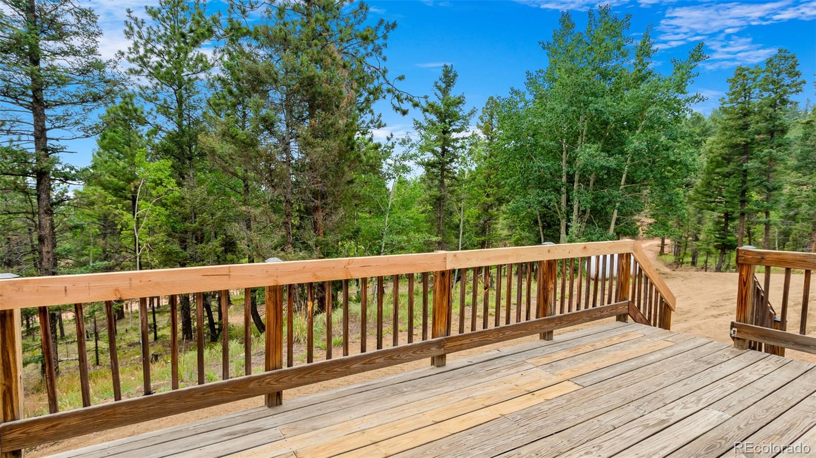 MLS Image #6 for 900  beaver creek drive,florissant, Colorado