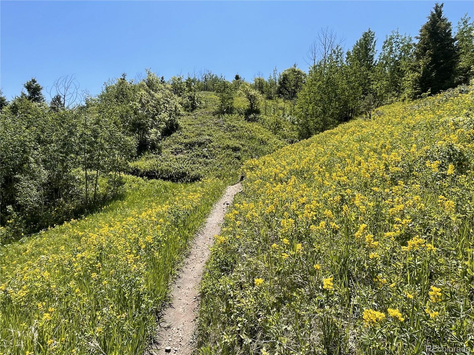 MLS Image #41 for 5  cliffrose ,littleton, Colorado