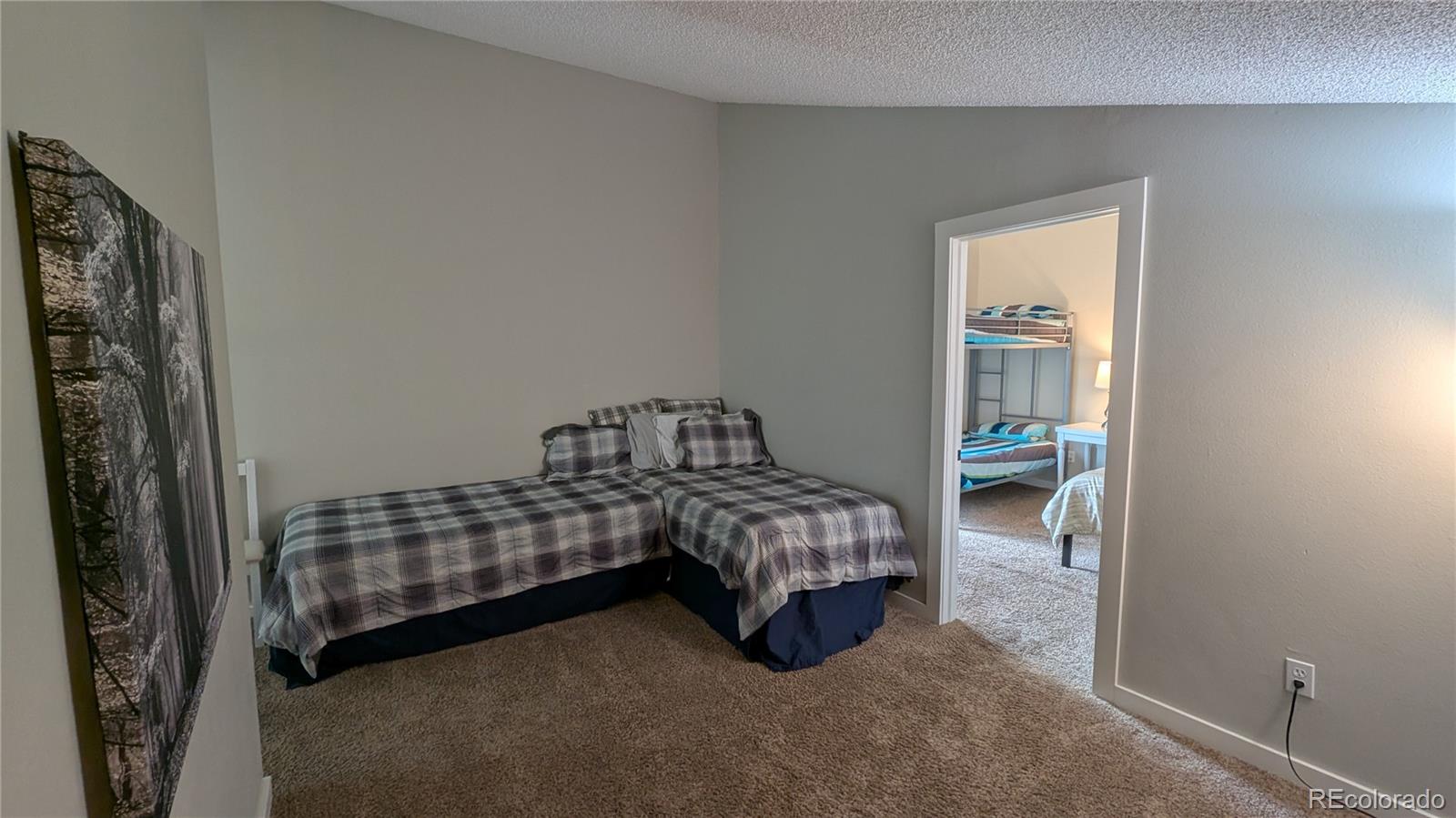 MLS Image #13 for 2710  ryan gulch road,silverthorne, Colorado