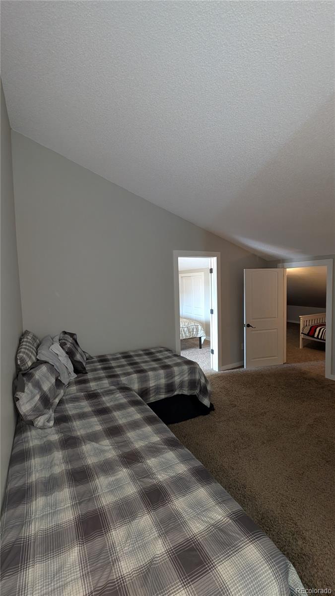 MLS Image #14 for 2710  ryan gulch road,silverthorne, Colorado