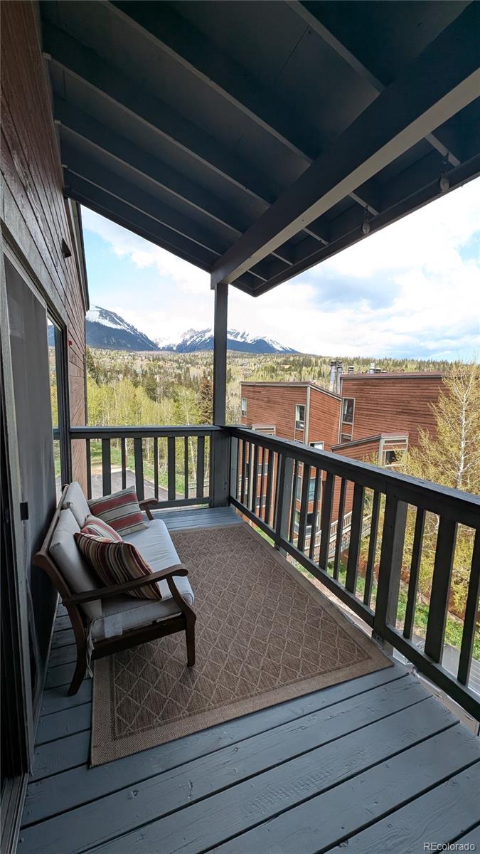MLS Image #21 for 2710  ryan gulch road,silverthorne, Colorado