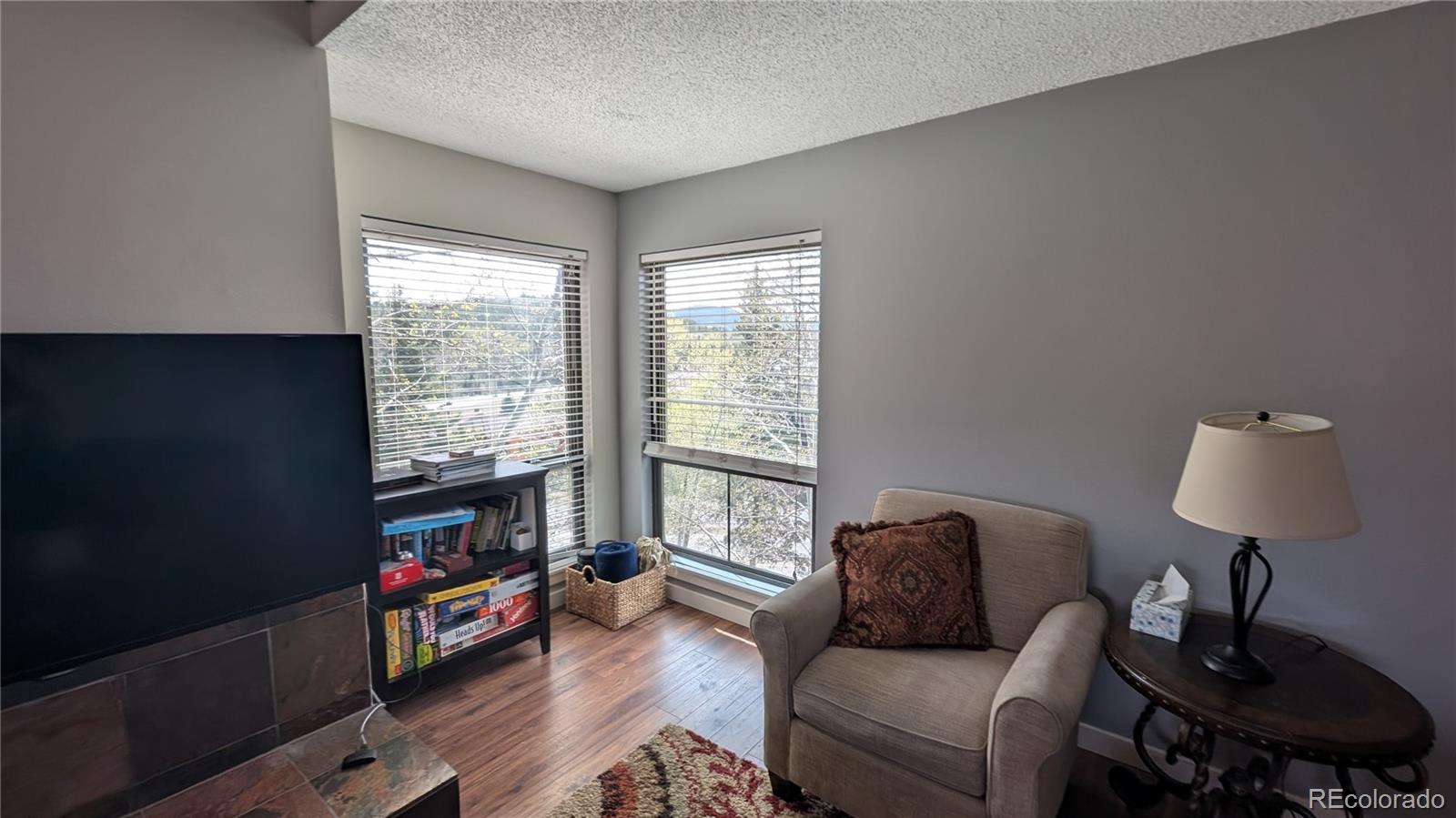 MLS Image #4 for 2710  ryan gulch road,silverthorne, Colorado