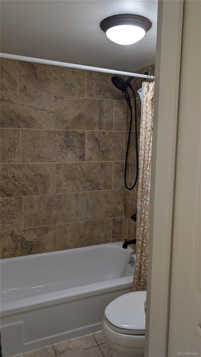 MLS Image #9 for 2710  ryan gulch road,silverthorne, Colorado