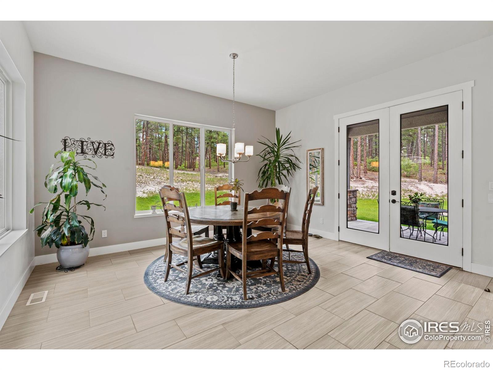 MLS Image #11 for 10525  wild fox place,franktown, Colorado