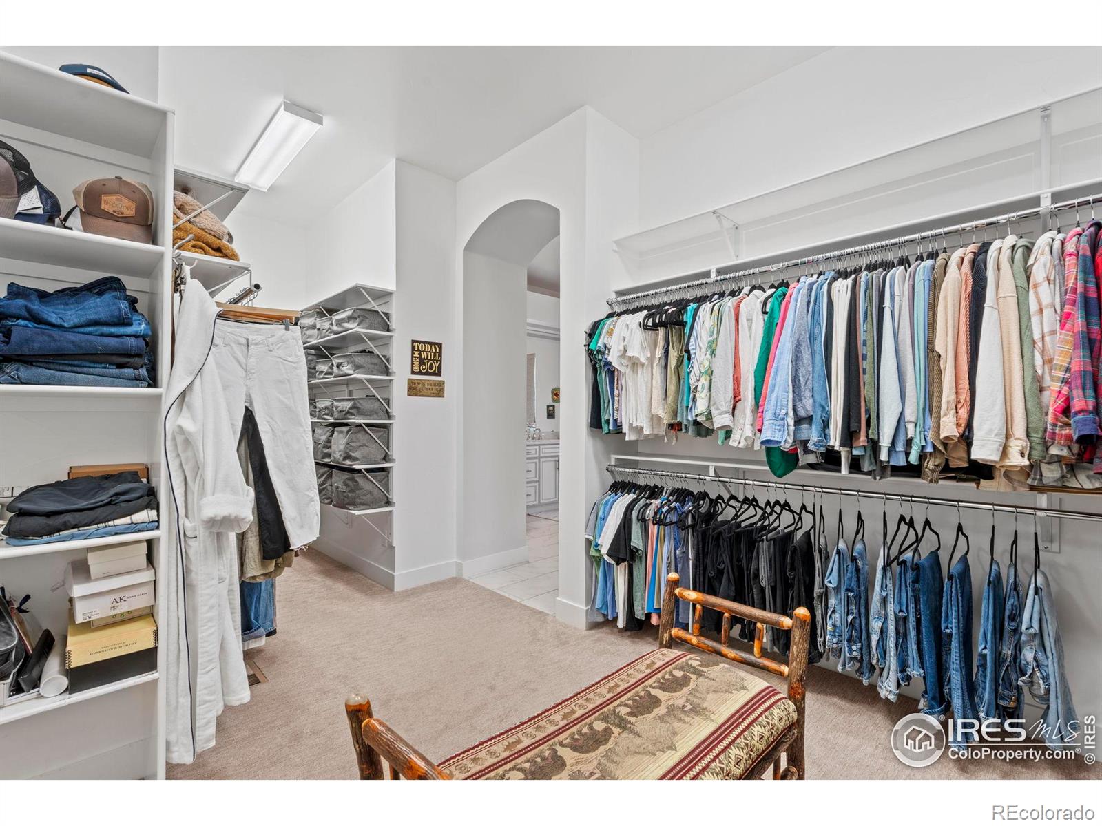 MLS Image #13 for 10525  wild fox place,franktown, Colorado