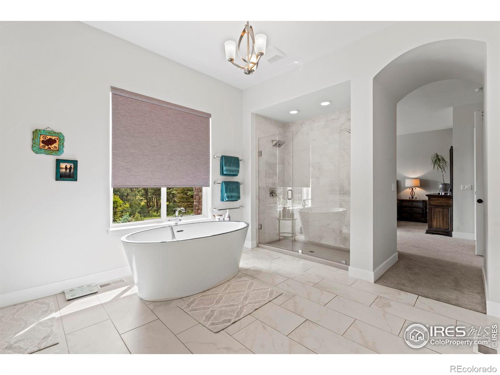 MLS Image #14 for 10525  wild fox place,franktown, Colorado