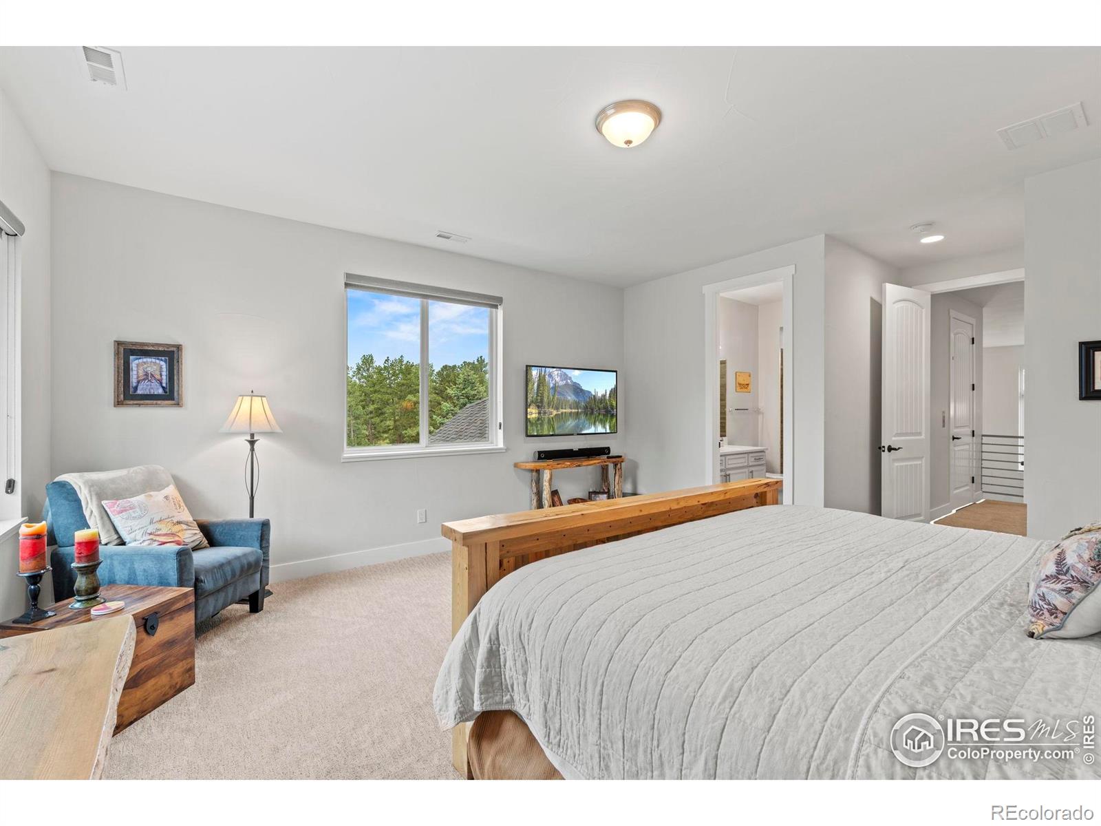 MLS Image #20 for 10525  wild fox place,franktown, Colorado