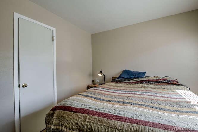 MLS Image #10 for 1208  mount massive drive,leadville, Colorado