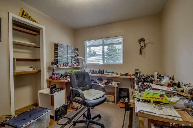 MLS Image #13 for 1208  mount massive drive,leadville, Colorado