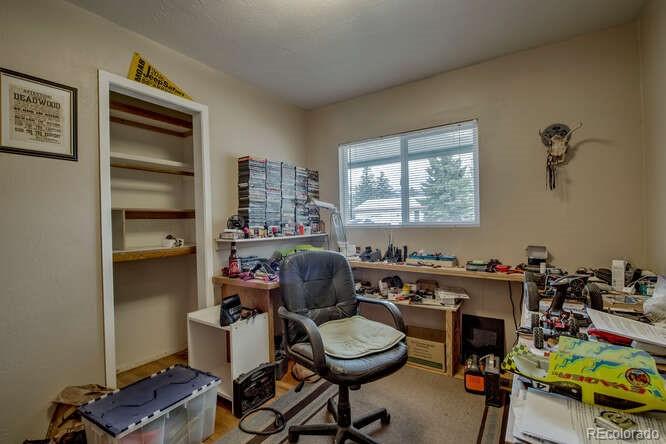 MLS Image #14 for 1208  mount massive drive,leadville, Colorado