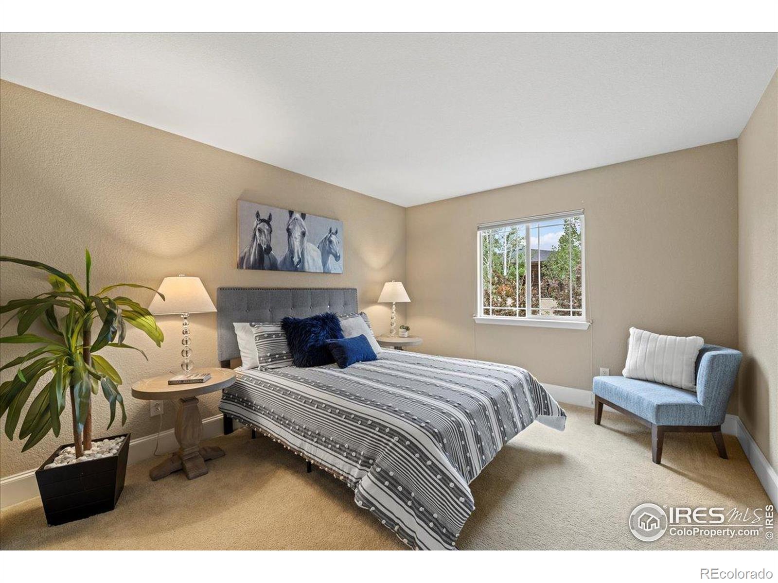MLS Image #15 for 4219  frederick circle,longmont, Colorado