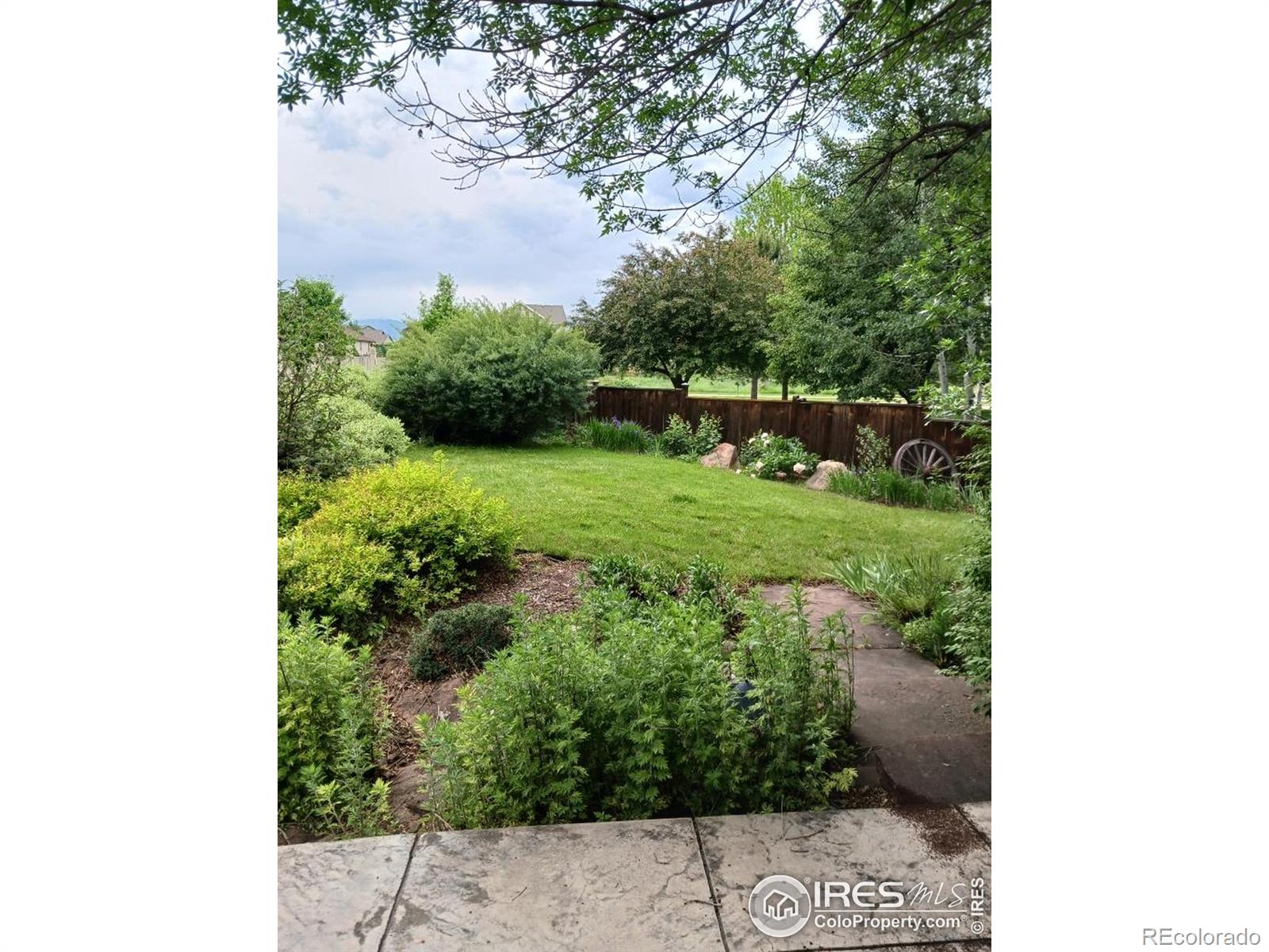 MLS Image #24 for 4219  frederick circle,longmont, Colorado