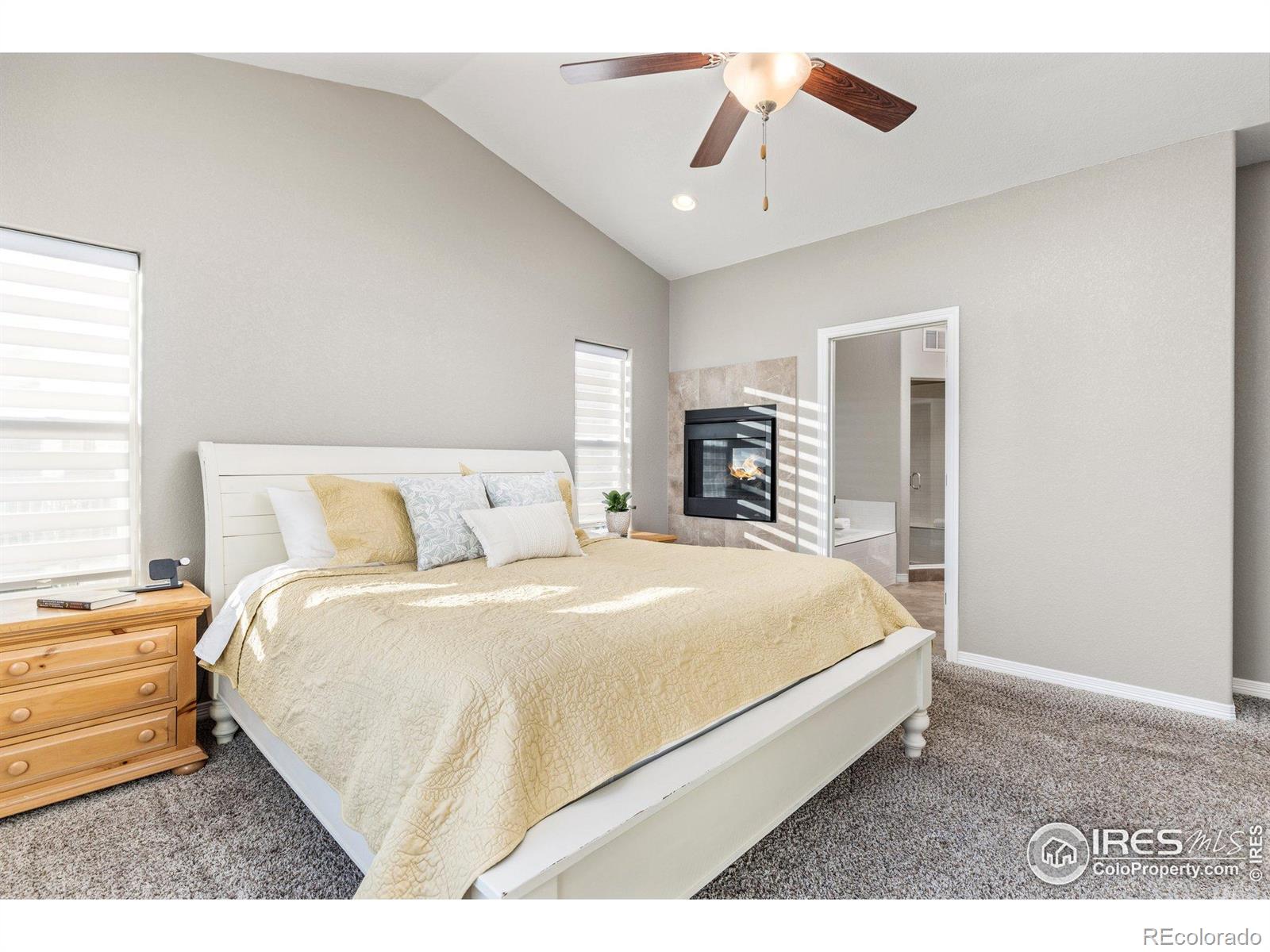 MLS Image #13 for 675  lene lane,berthoud, Colorado