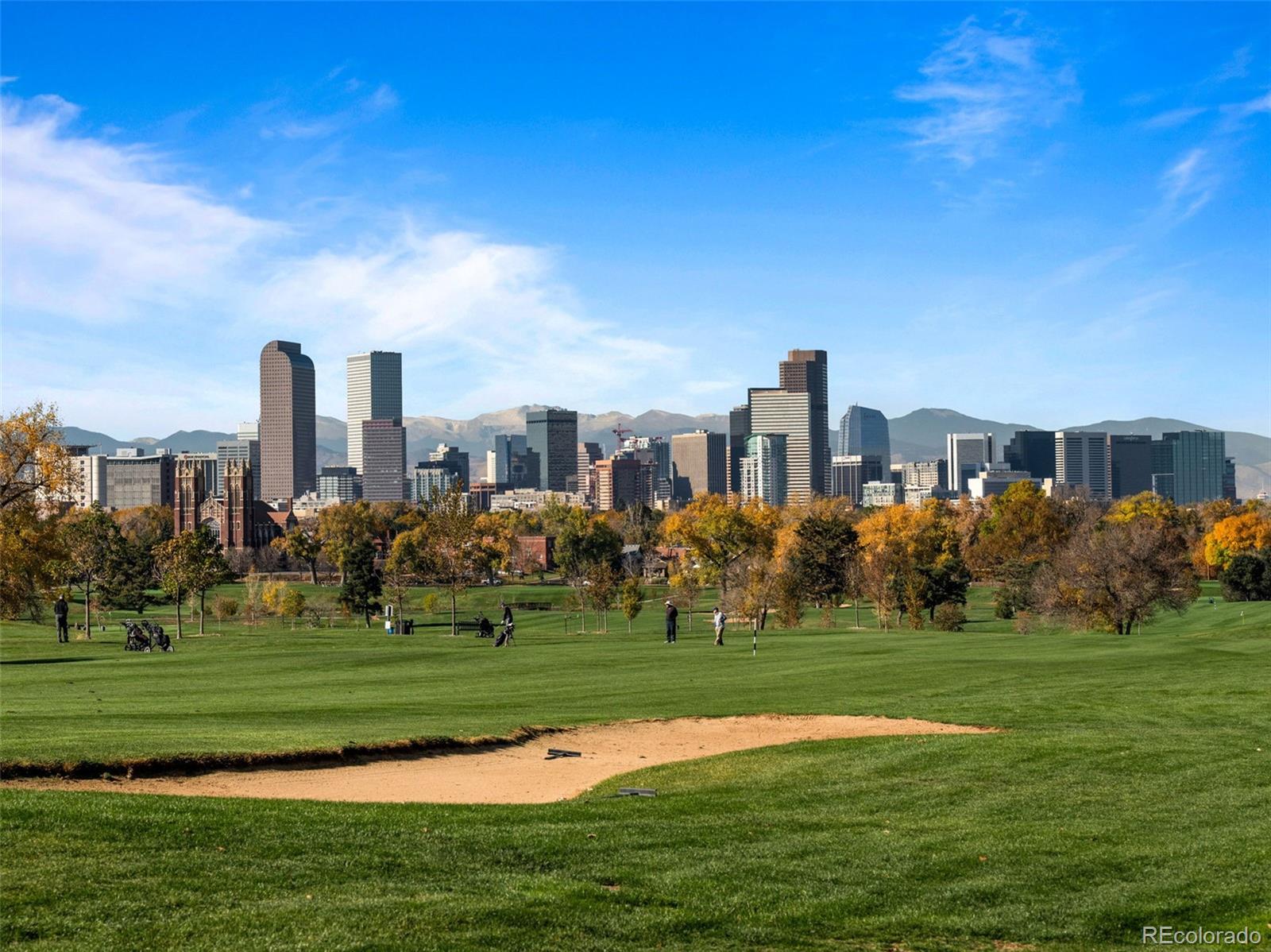 MLS Image #39 for 2569  forest street,denver, Colorado