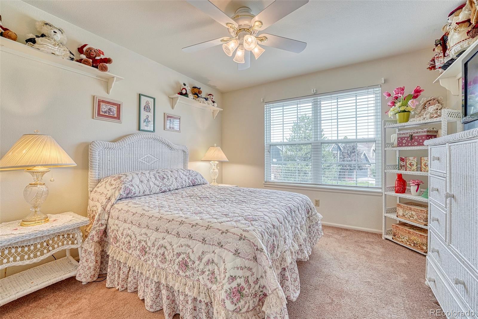MLS Image #27 for 10142  mountain maple drive,highlands ranch, Colorado