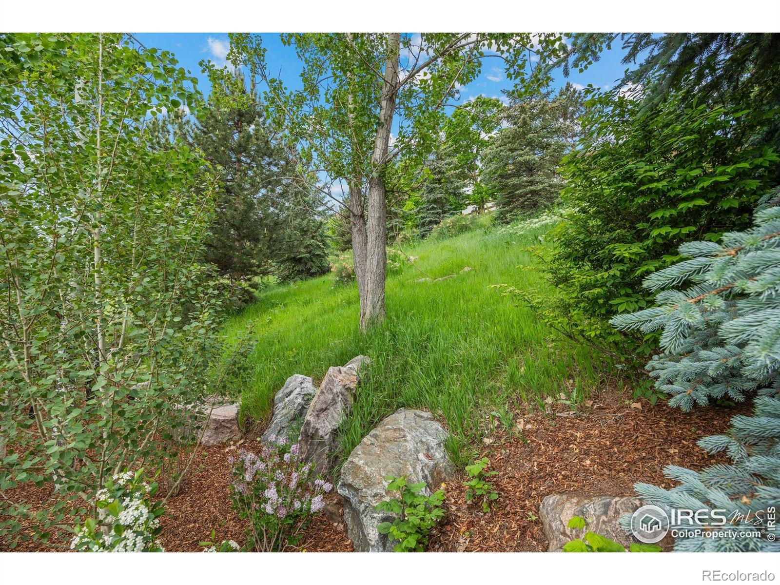 MLS Image #31 for 19061  eagle ridge drive,golden, Colorado