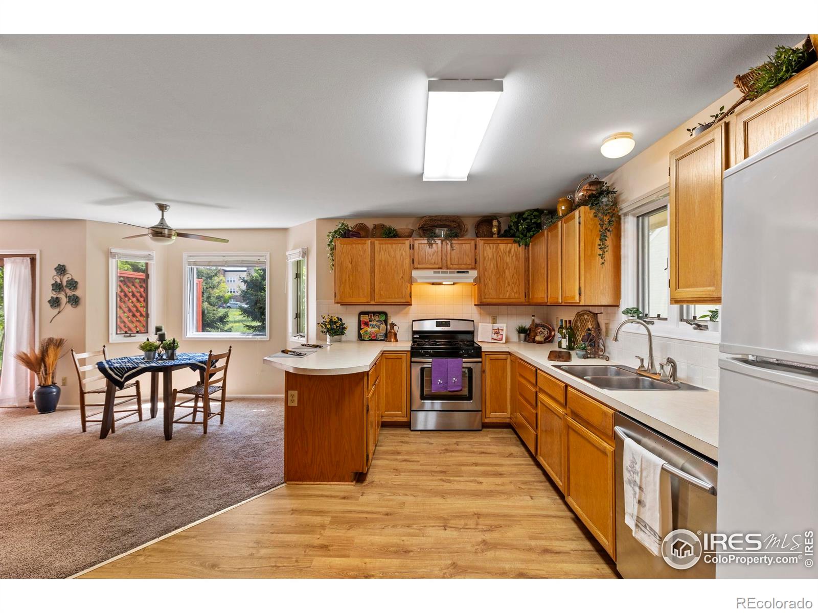 MLS Image #10 for 800  chetwood court,fort collins, Colorado