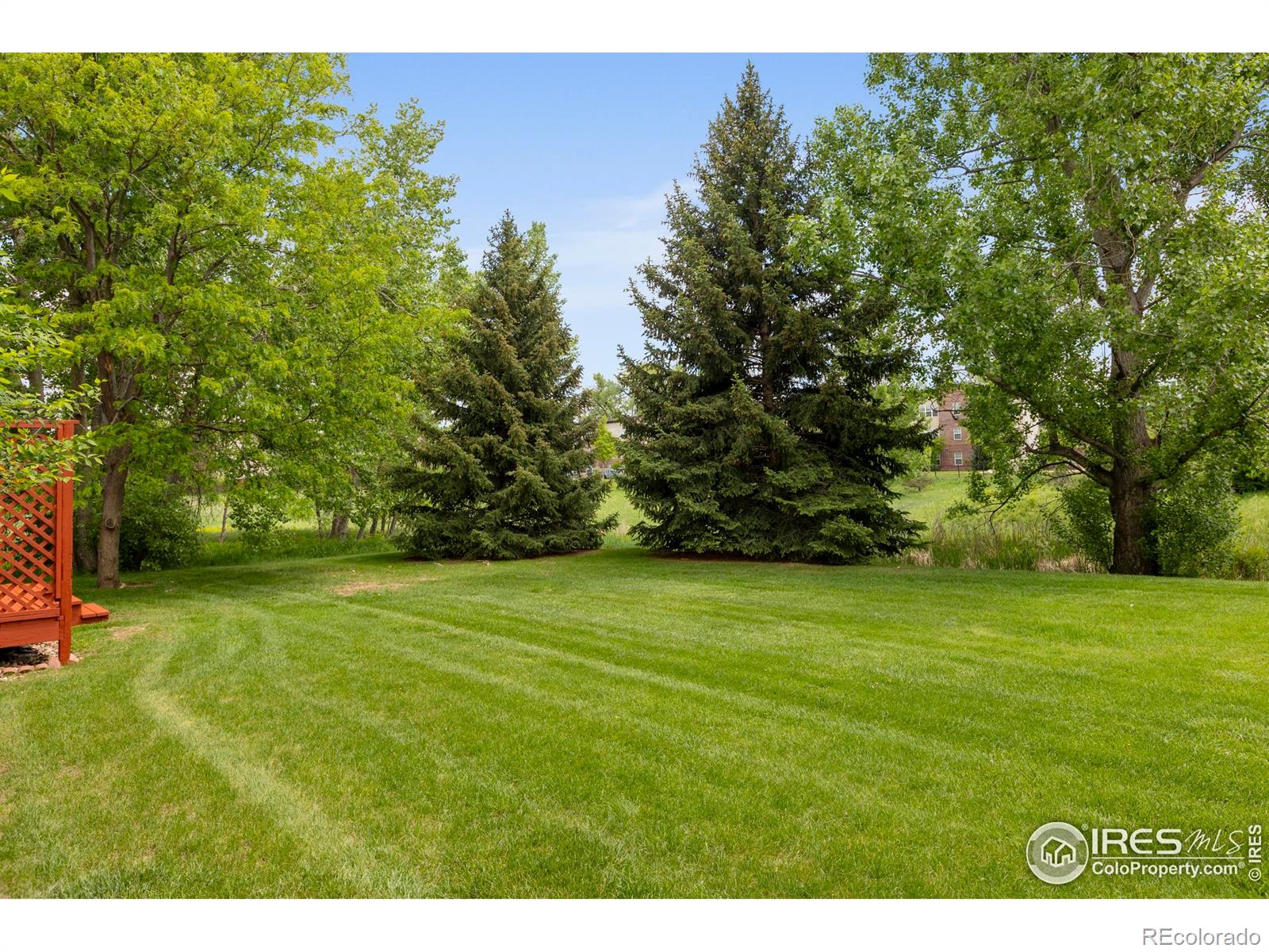 MLS Image #22 for 800  chetwood court,fort collins, Colorado