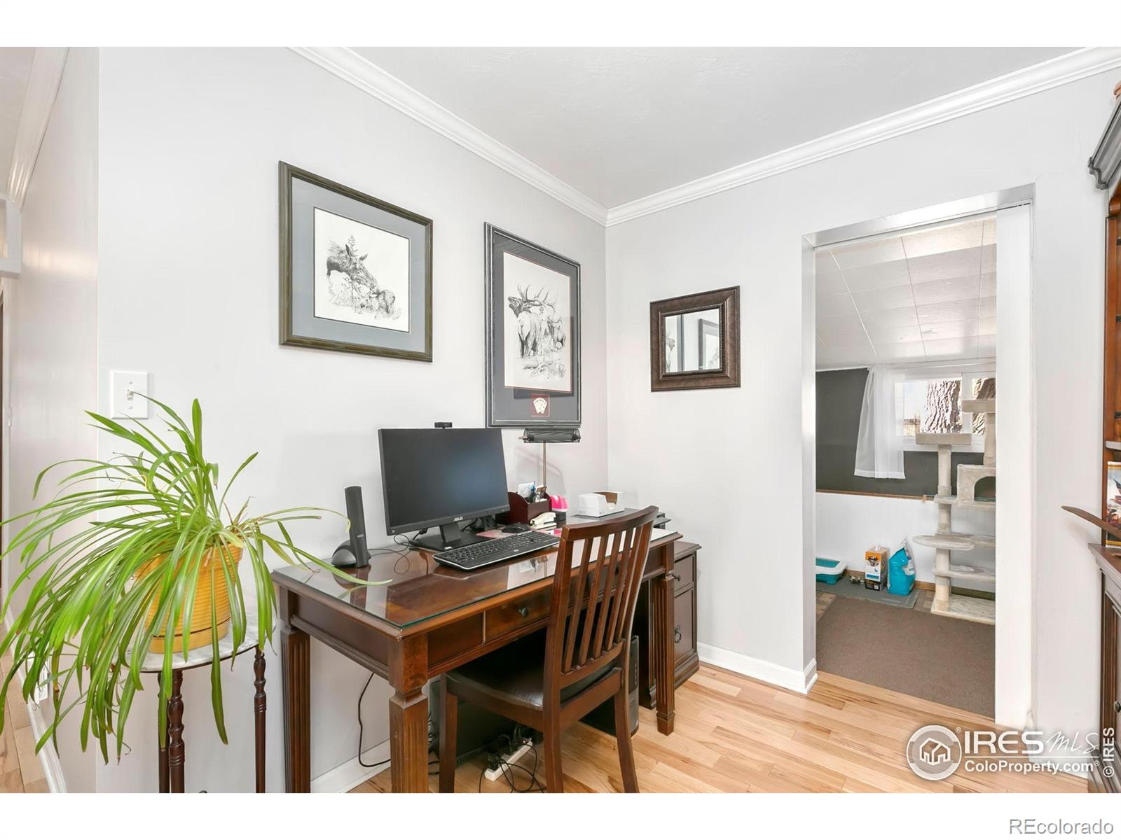 MLS Image #12 for 103 w main avenue,pierce, Colorado