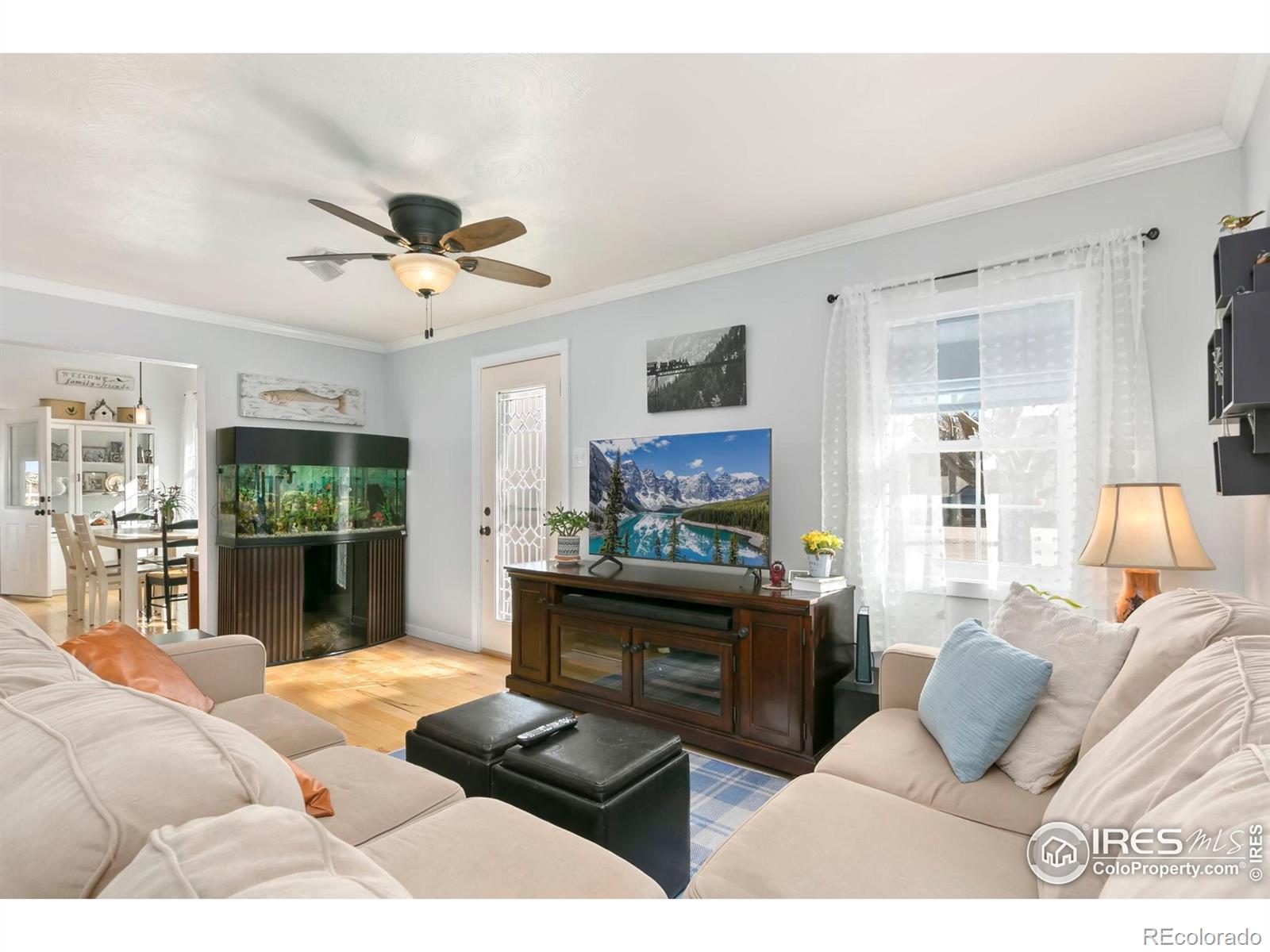MLS Image #6 for 103 w main avenue,pierce, Colorado