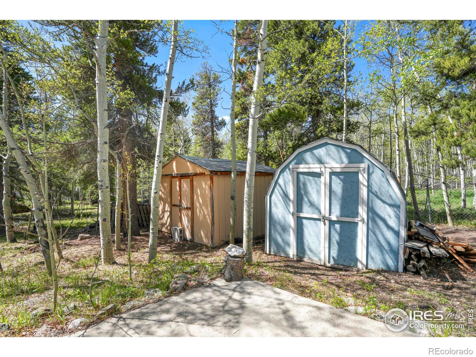MLS Image #20 for 779  high point circle,black hawk, Colorado