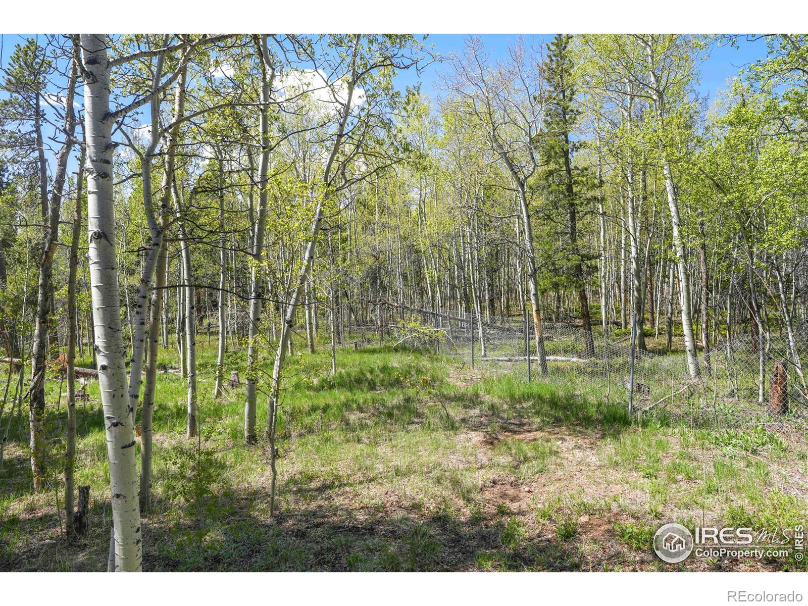 MLS Image #21 for 779  high point circle,black hawk, Colorado