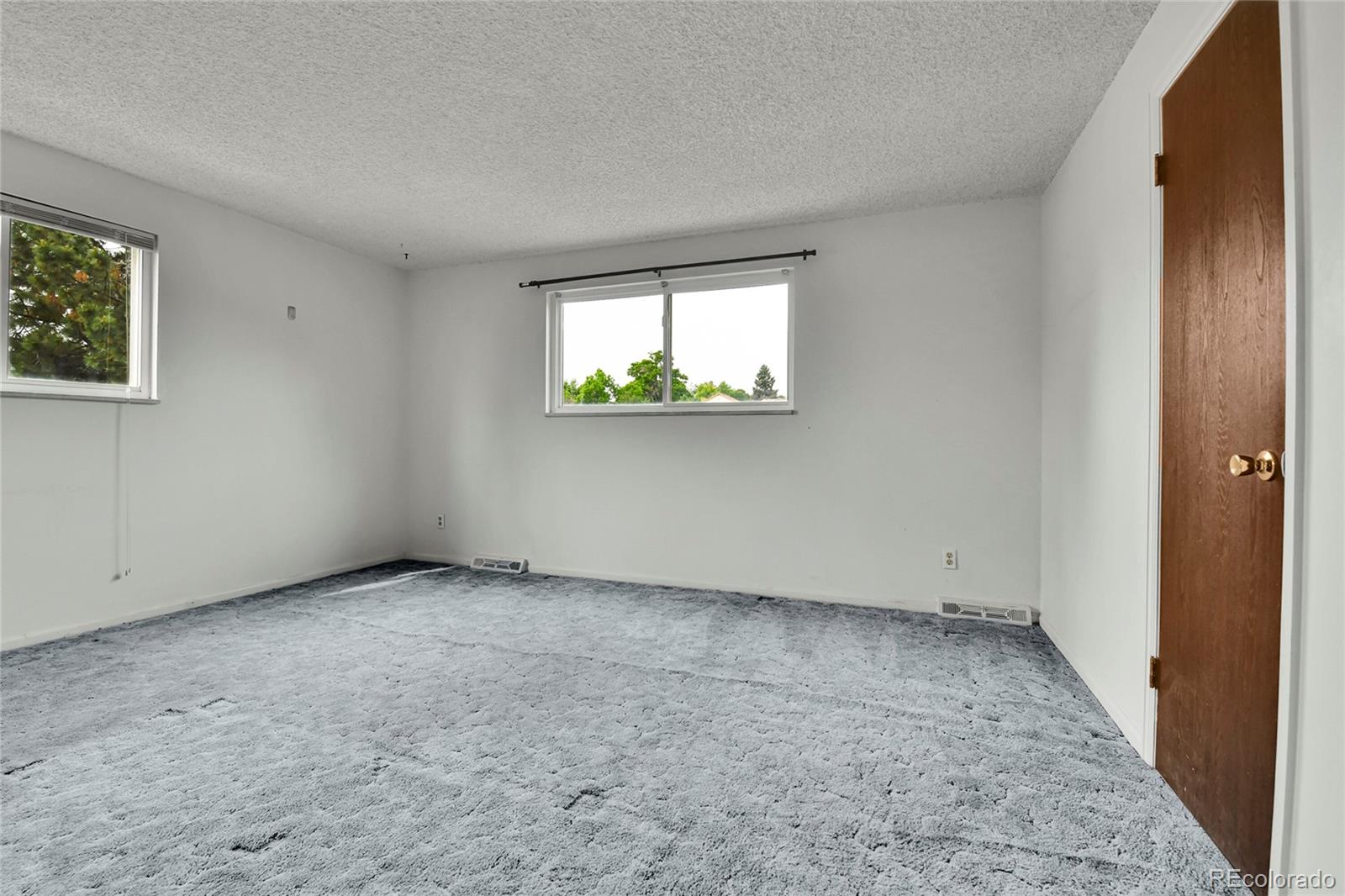 MLS Image #17 for 13134  deneb drive,lone tree, Colorado