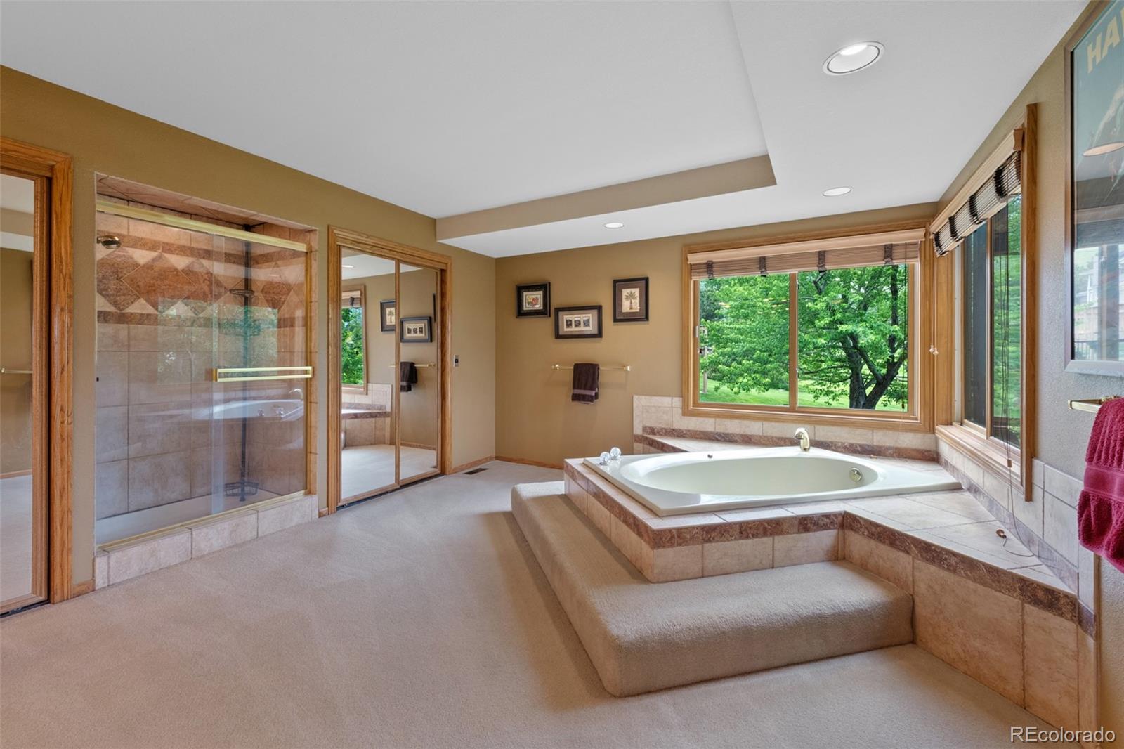 MLS Image #23 for 9  red fox lane,littleton, Colorado