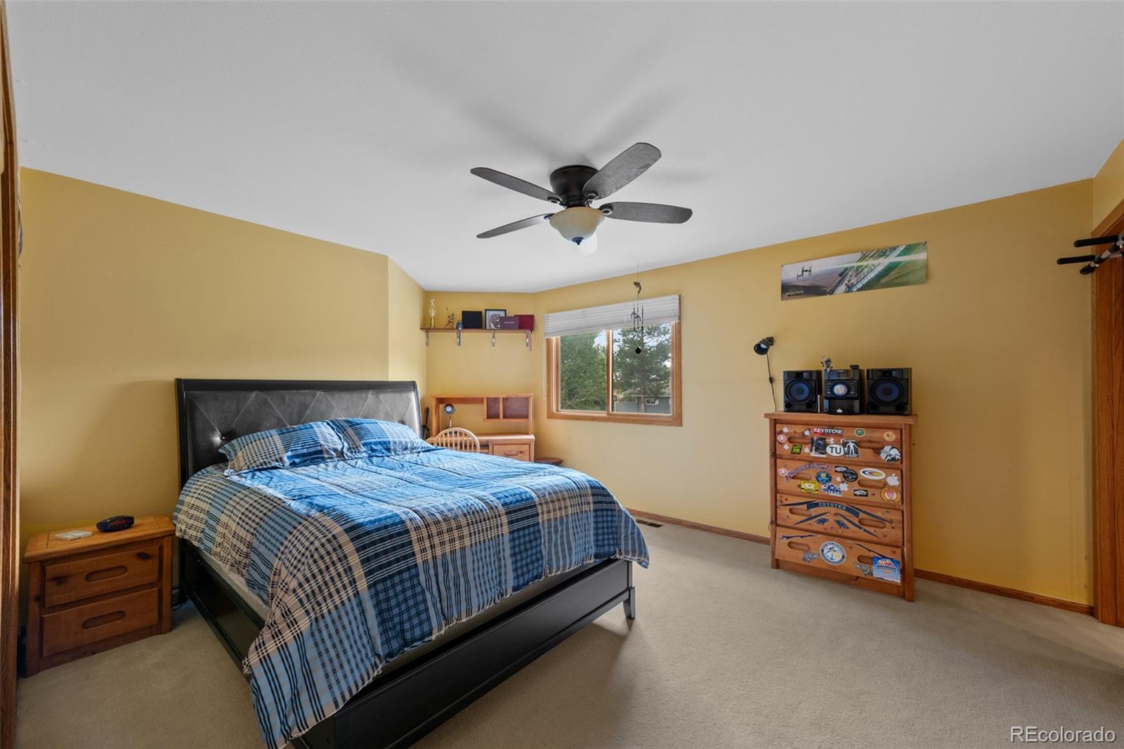 MLS Image #31 for 9  red fox lane,littleton, Colorado