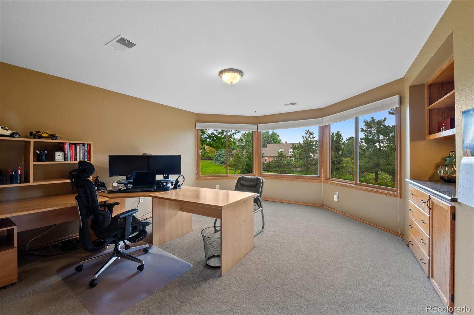 MLS Image #37 for 9  red fox lane,littleton, Colorado