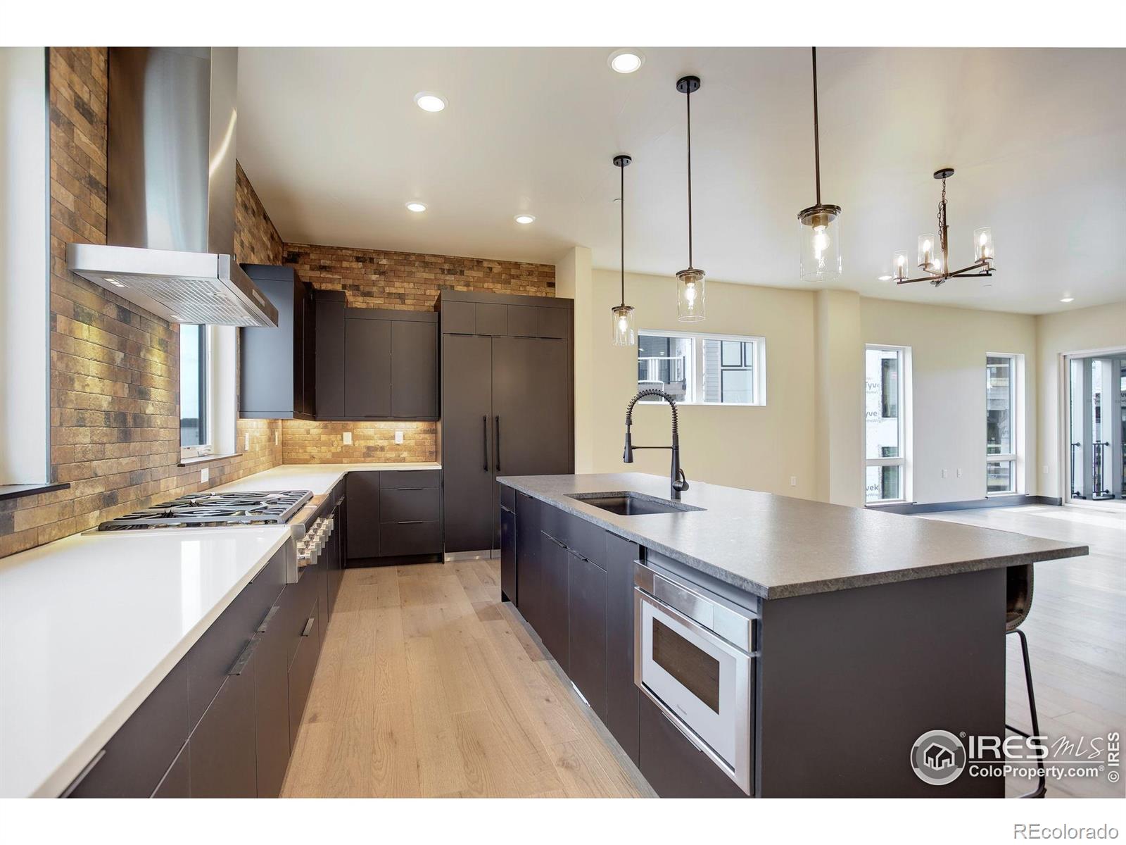 MLS Image #14 for 1778  peak loop,broomfield, Colorado