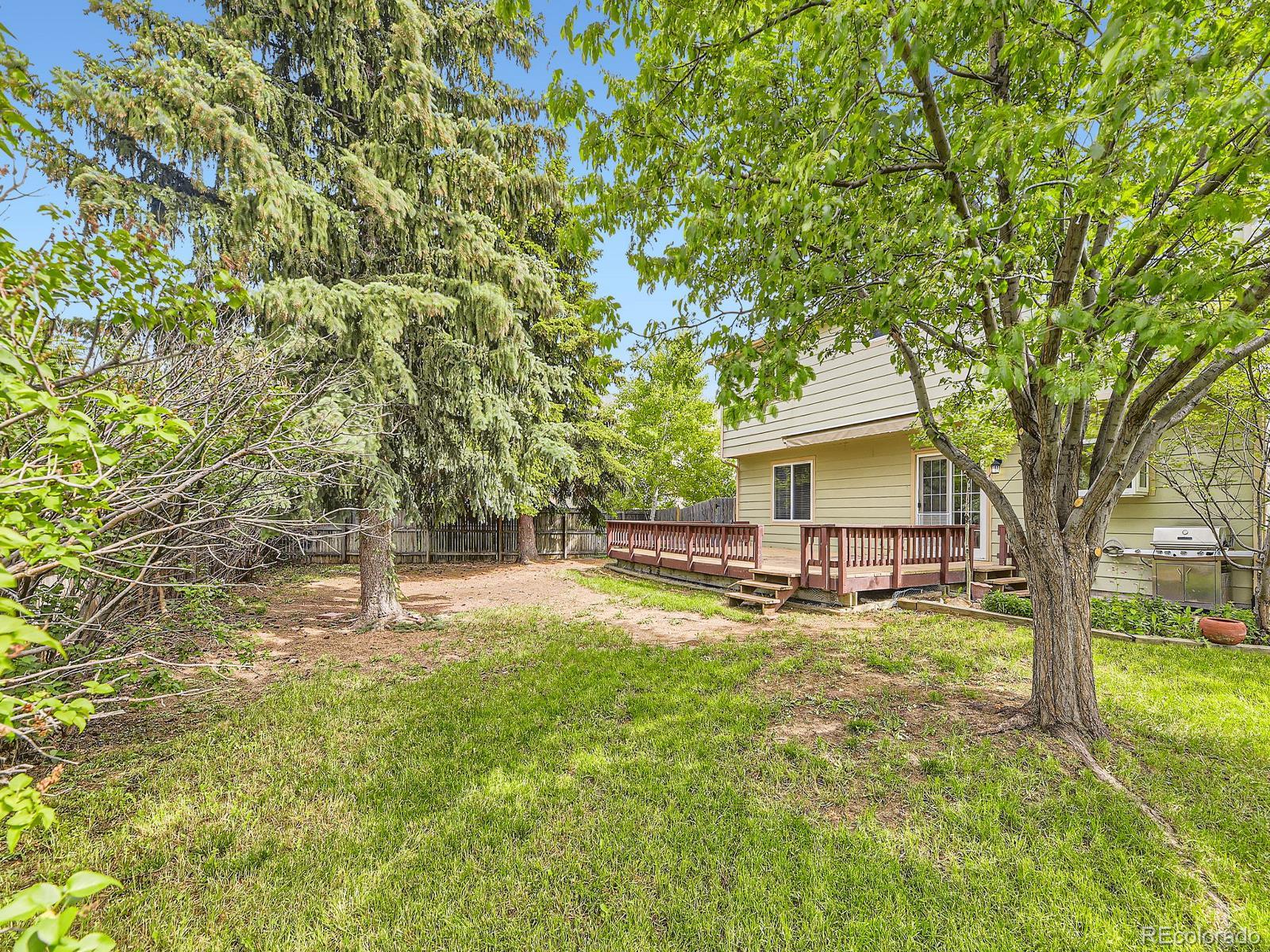 MLS Image #15 for 4267  ashcroft avenue,castle rock, Colorado