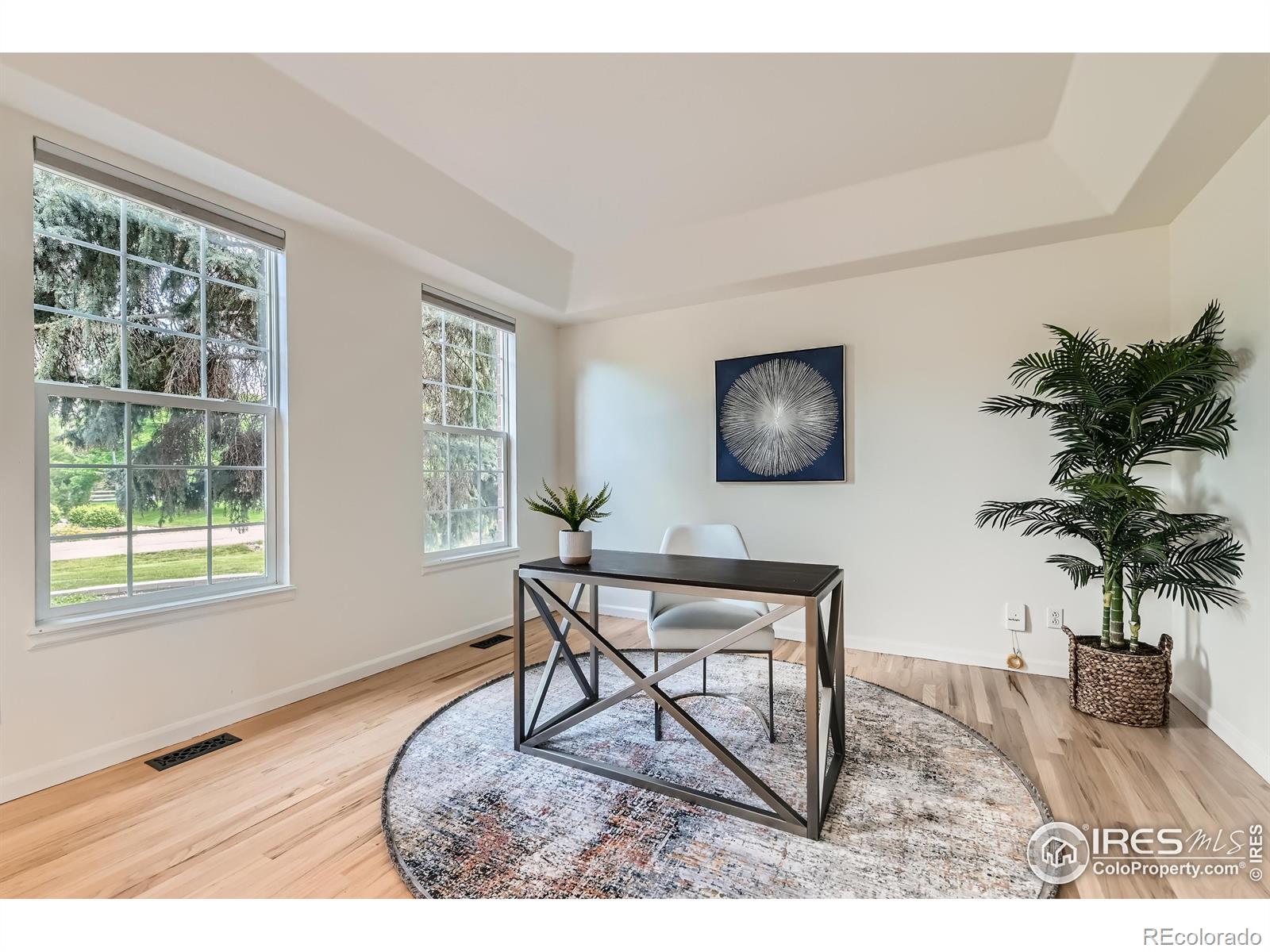 MLS Image #10 for 1005  creek court,longmont, Colorado