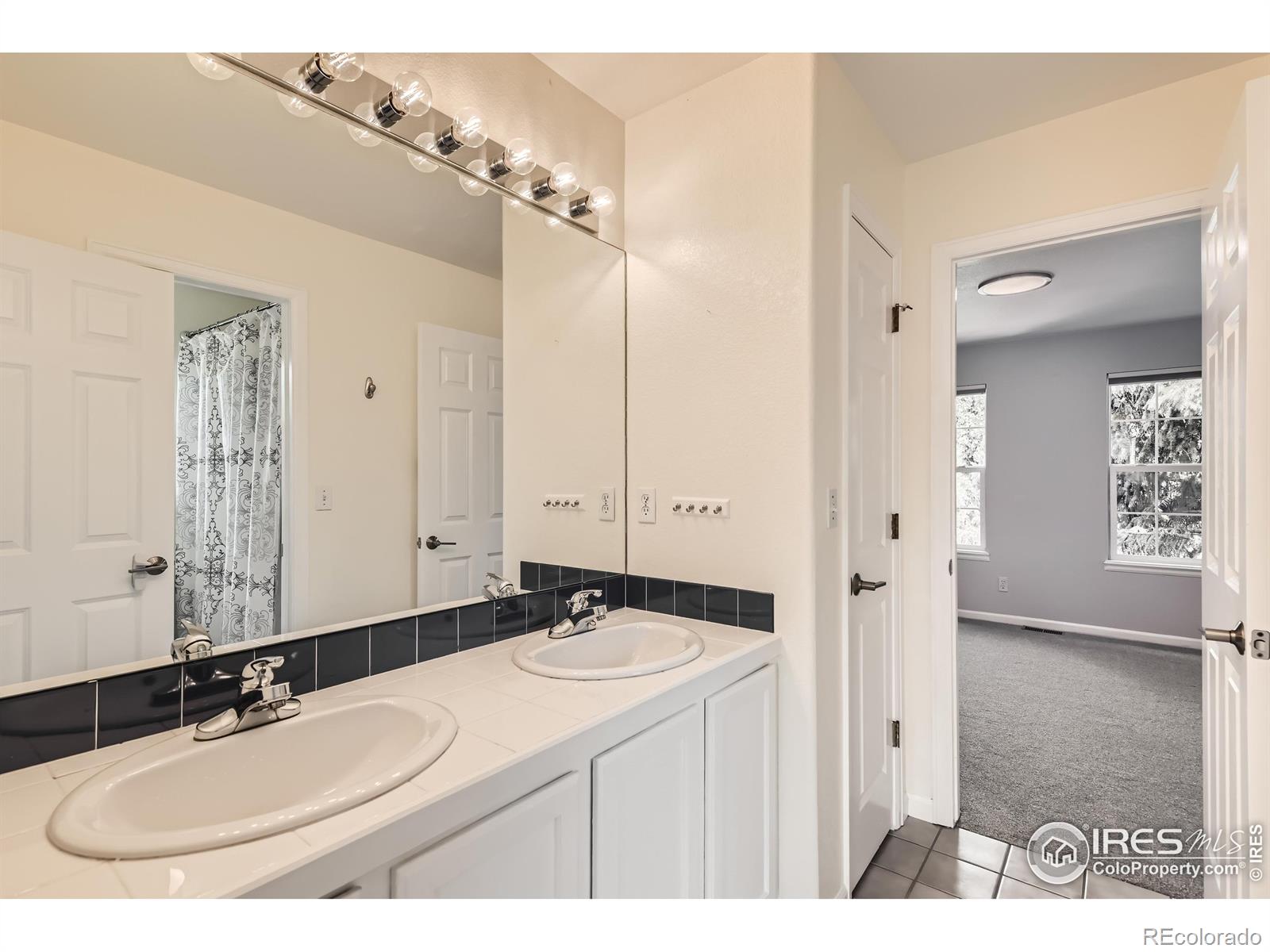 MLS Image #19 for 1005  creek court,longmont, Colorado