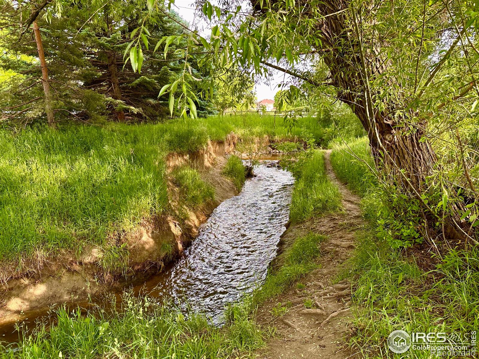 MLS Image #36 for 1005  creek court,longmont, Colorado