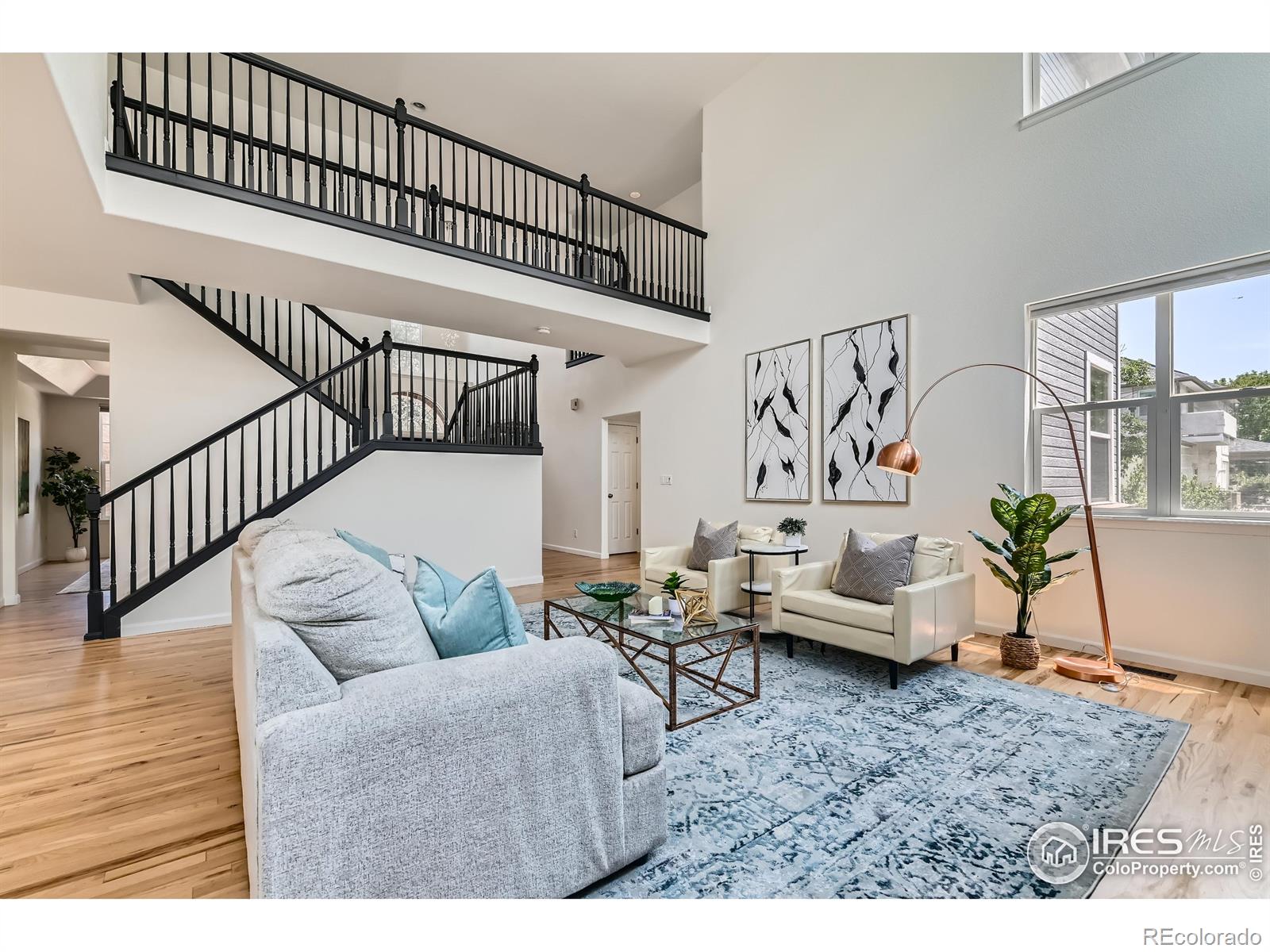 MLS Image #5 for 1005  creek court,longmont, Colorado