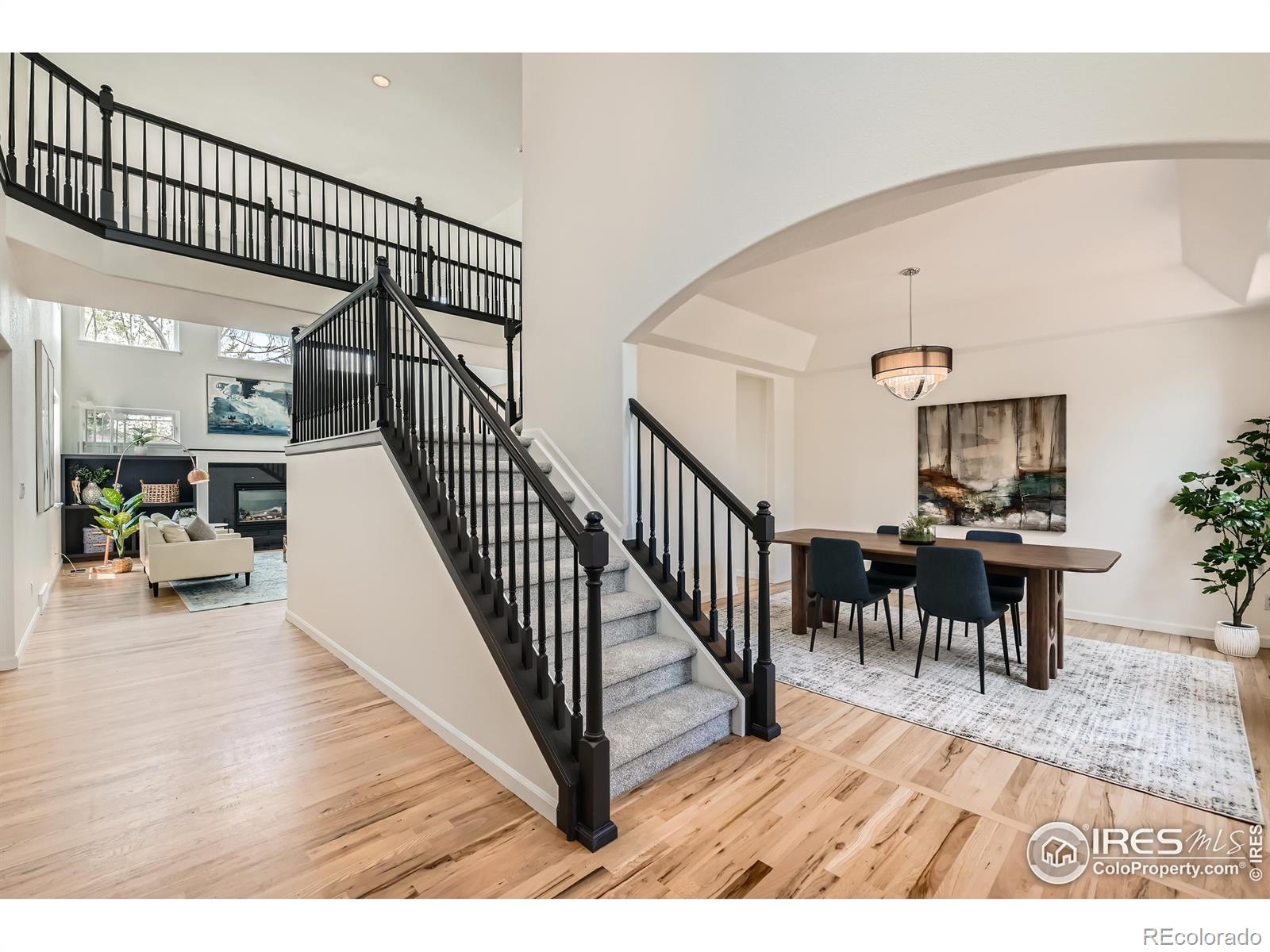 MLS Image #8 for 1005  creek court,longmont, Colorado
