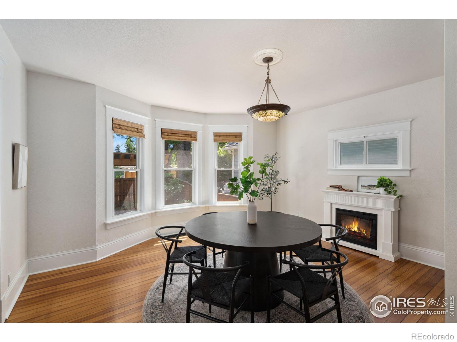 MLS Image #6 for 729  peterson street,fort collins, Colorado
