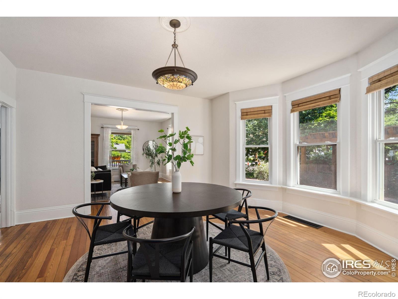 MLS Image #7 for 729  peterson street,fort collins, Colorado