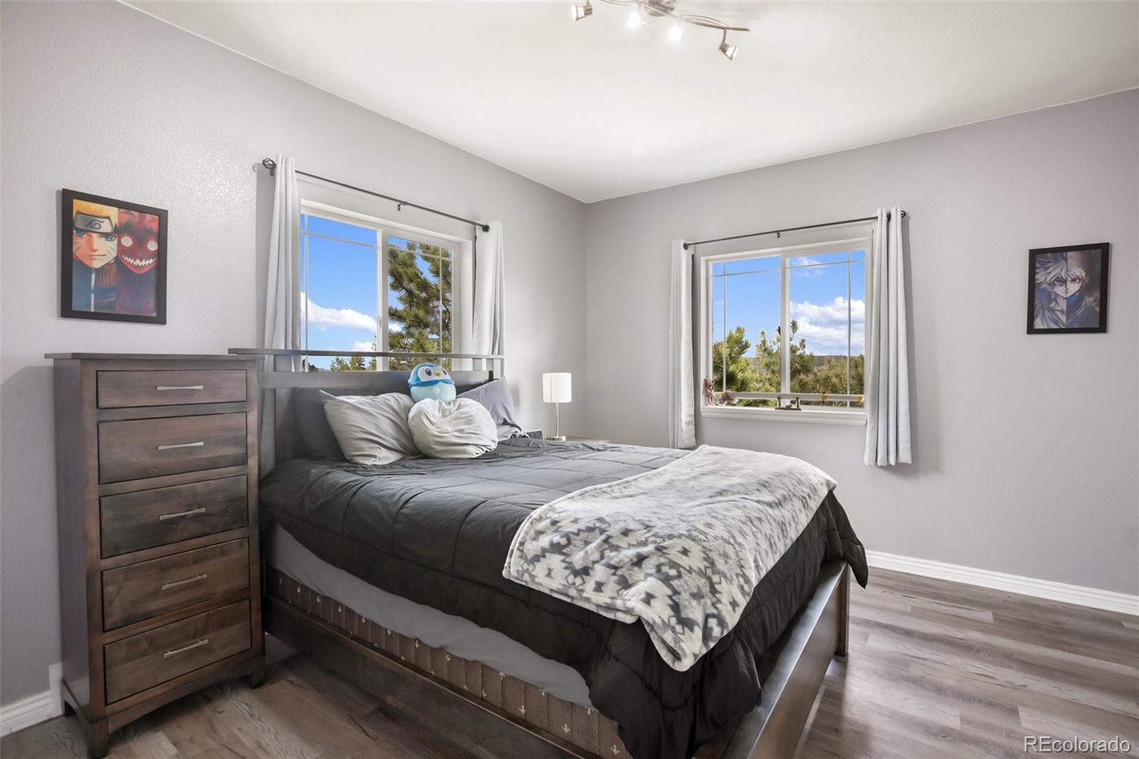 MLS Image #18 for 2413  county road 403 ,florissant, Colorado