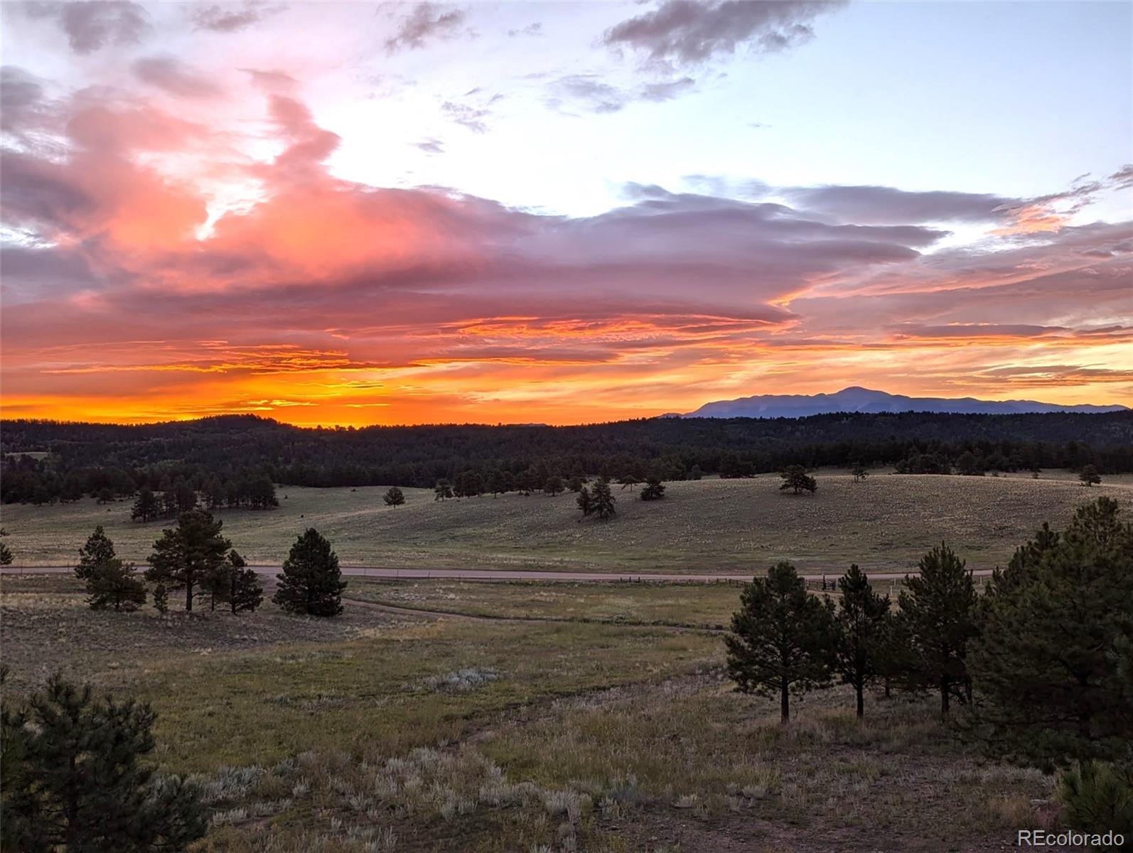 MLS Image #3 for 2413  county road 403 ,florissant, Colorado
