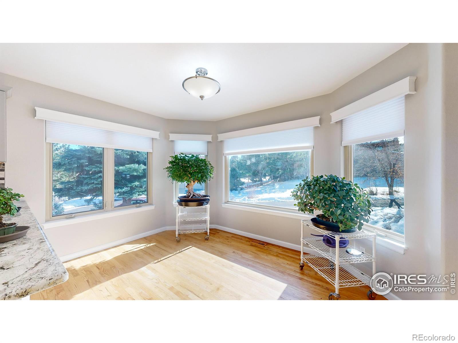 MLS Image #15 for 6260  rain dance trail,littleton, Colorado