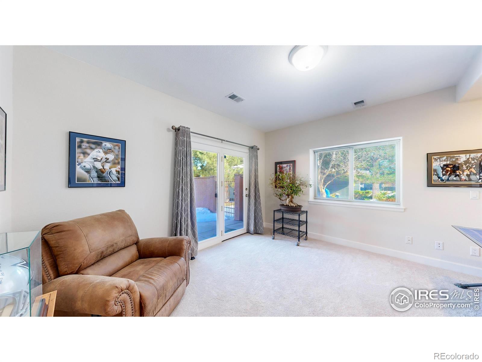 MLS Image #18 for 6260  rain dance trail,littleton, Colorado
