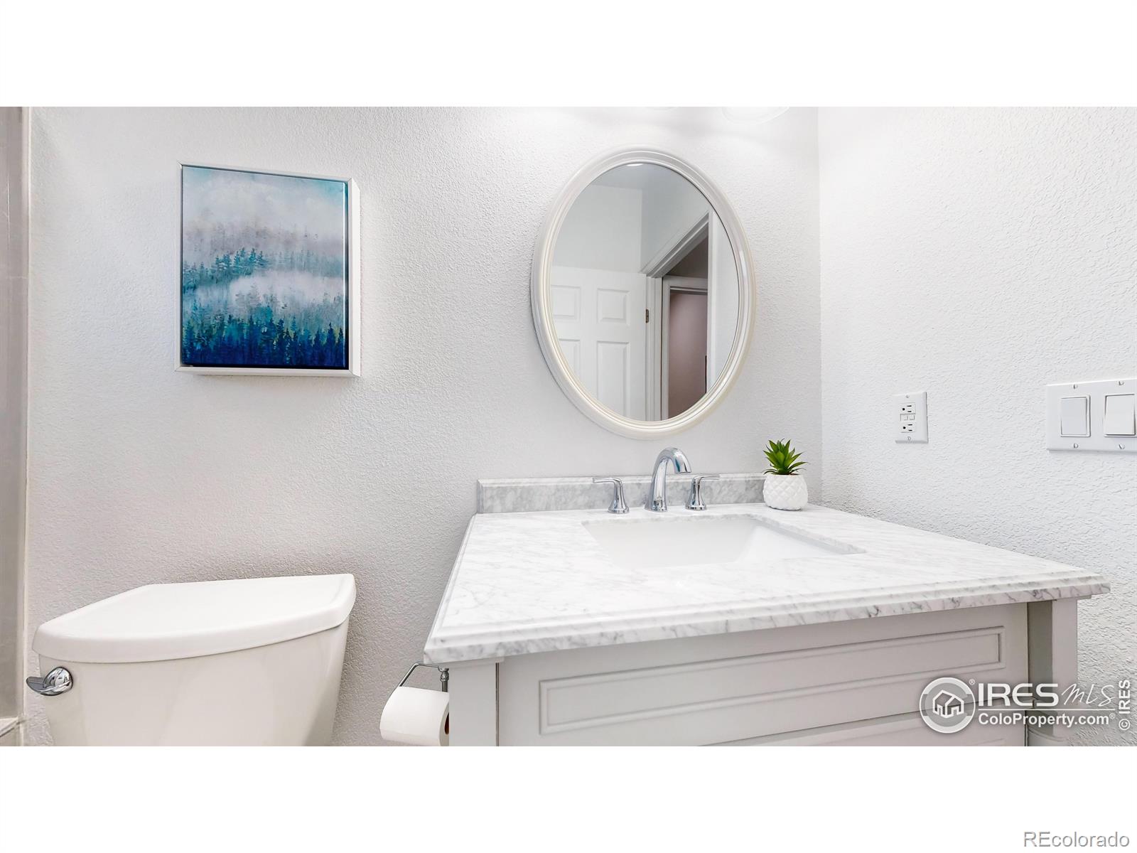 MLS Image #21 for 6260  rain dance trail,littleton, Colorado