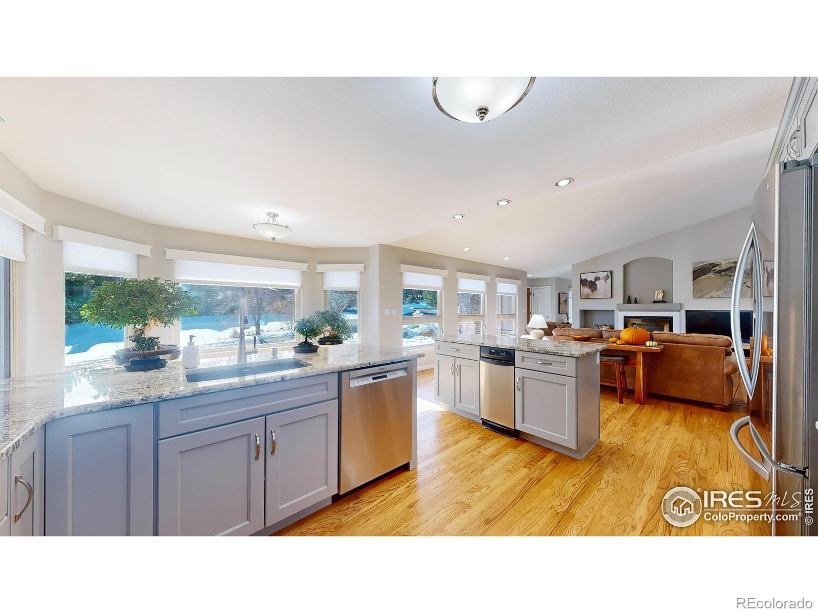 MLS Image #9 for 6260  rain dance trail,littleton, Colorado